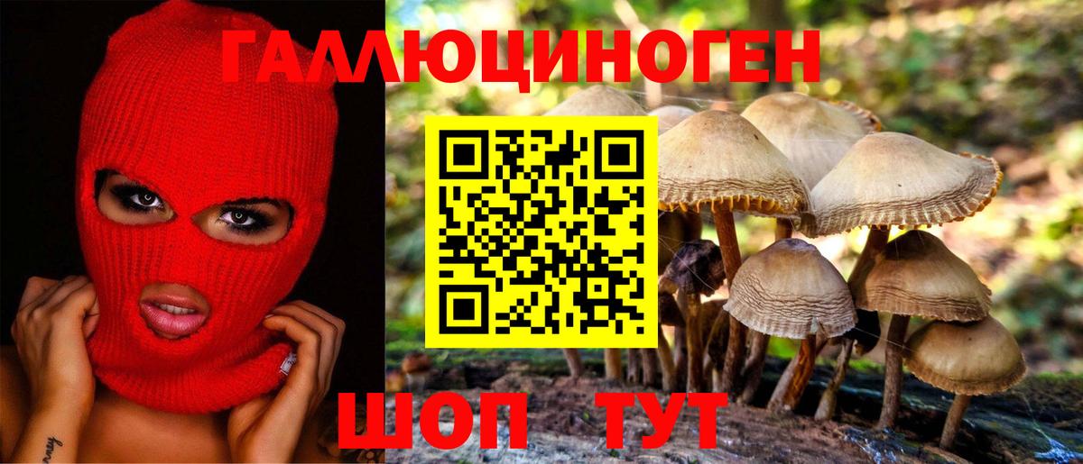 Псилоцибиновые грибы Cubensis Топки